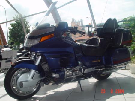 mon goldwin de futur